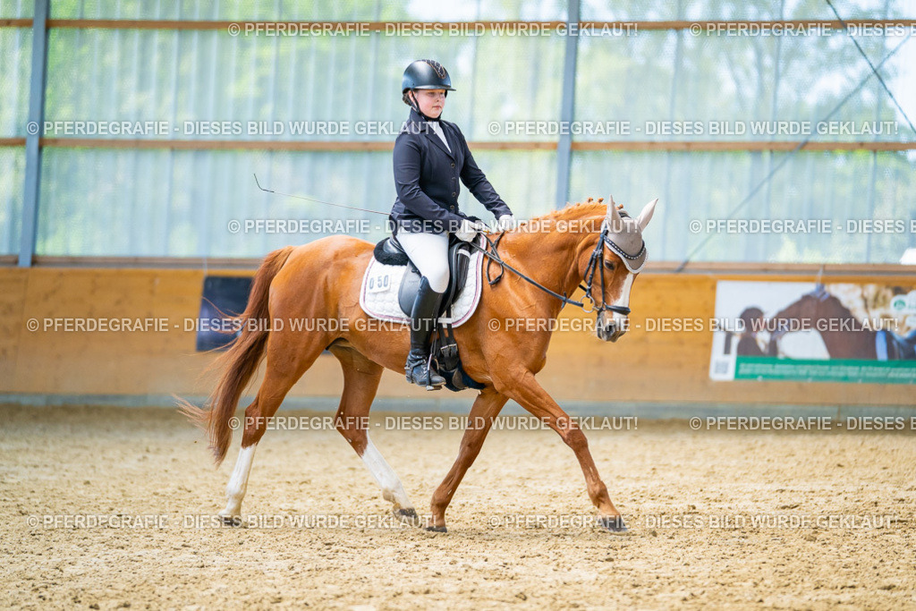 DSC08727 | Pferdegrafie