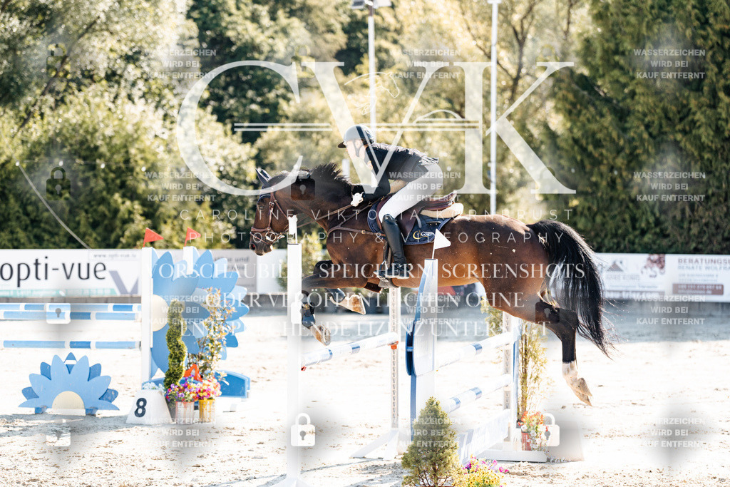 CK902149 | Turnierfotografie Pferdefotografie Trier Rheinland-Pfalz Pferdesport Reitsport Tierfotografie Sportfotografie Pferdevideo Pferdevideografie Equestrianvideography equestrianphotography  - Realisiert mit Pictrs.com