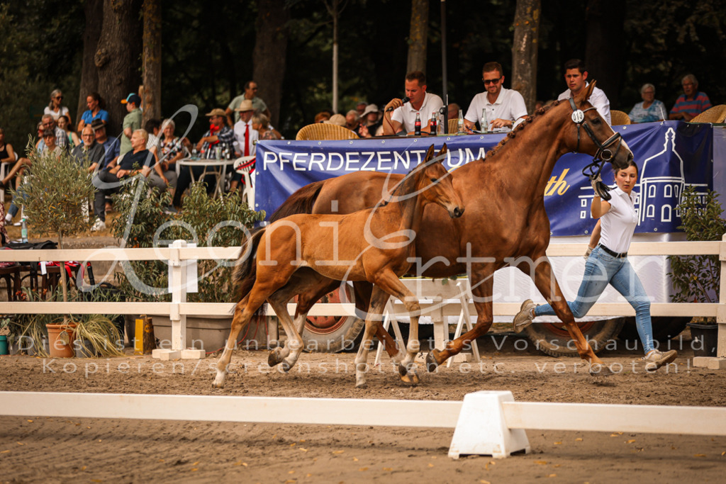 SaPA00178 | Leoni Ertmer Photography - Realisiert mit Pictrs.com