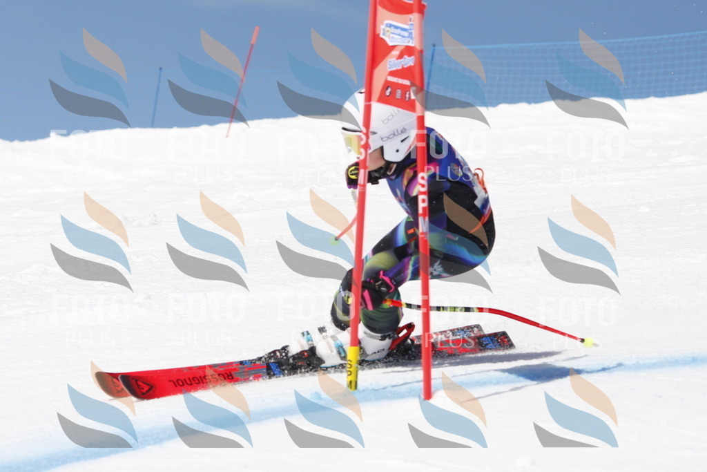 _W1G2148 | holidayphoto