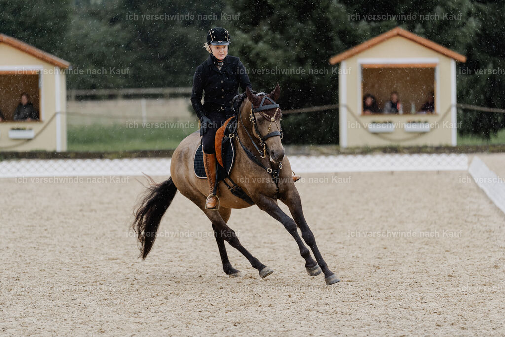 Katja7_FHC2025-8490 | working equitationturnier fotograf videograf stoibphotography marixx film working equitation deutschland reitsport turnierfotografie eventfotografie equestrian events