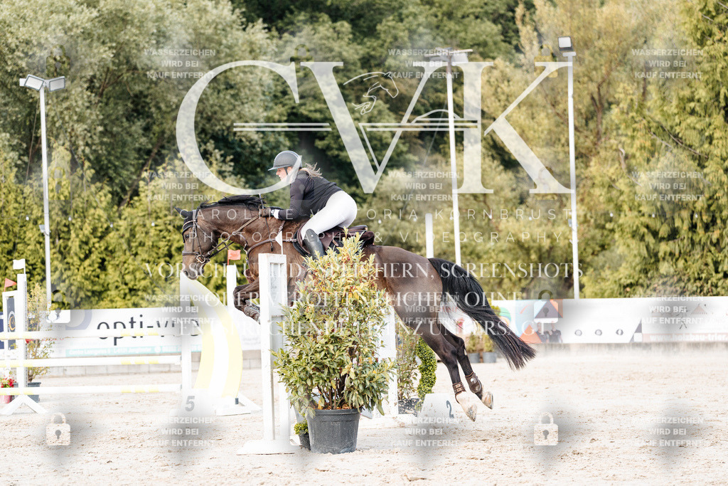 CK903694 | Turnierfotografie Pferdefotografie Trier Rheinland-Pfalz Pferdesport Reitsport Tierfotografie Sportfotografie Pferdevideo Pferdevideografie Equestrianvideography equestrianphotography  - Realisiert mit Pictrs.com