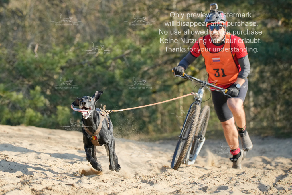 So_Scooter-190 | stephaniefillaphotographie - Realisiert mit Pictrs.com