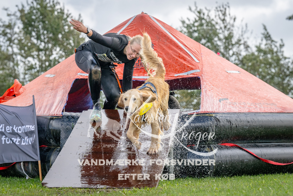 1222-93516 | kk-dogfotos