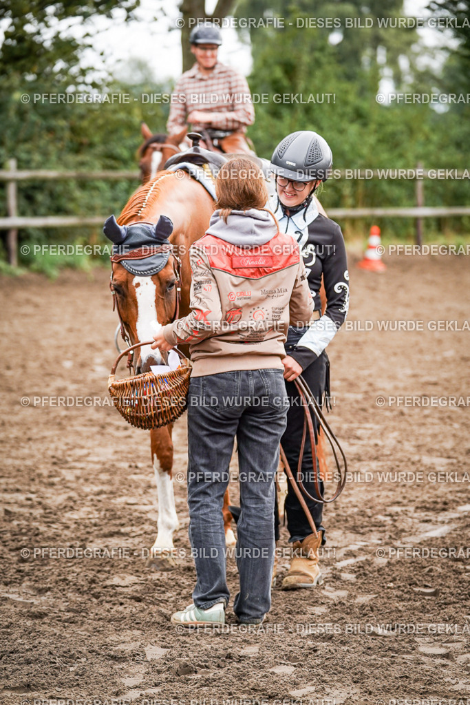 DSC04224 | Pferdegrafie