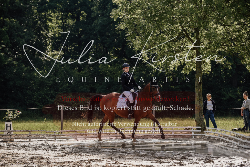 DSC_9056 | Pferde- und Turnierfotografie in Westsachsen. Pferdeportraits, Auftragszeichnungen und intuitive Kunst.