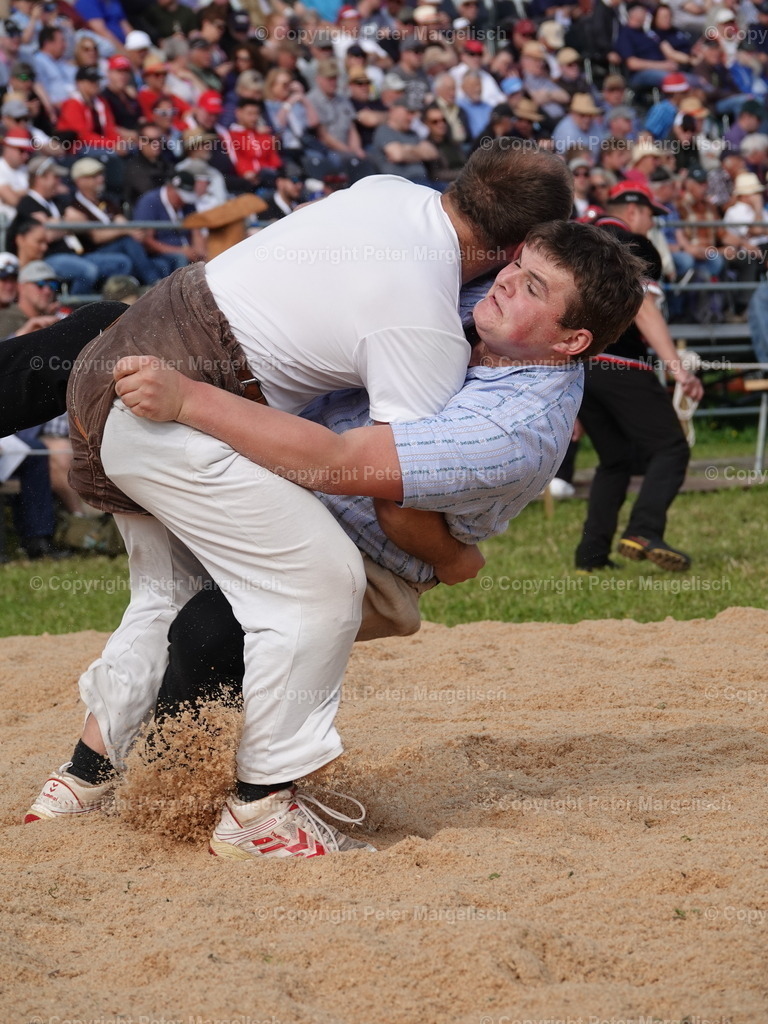 DSC06673 | Schwingen - Realisiert mit Pictrs.com