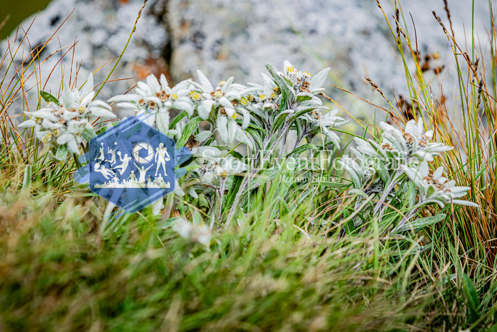 IMAG0235 | SportEventFotografie - Roman Stoiber