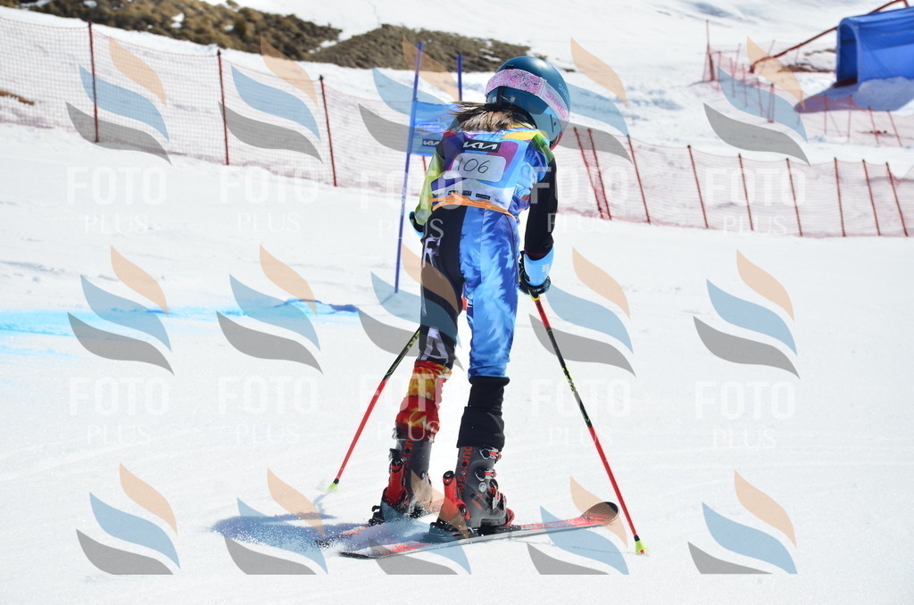 _ELE0609 | holidayphoto