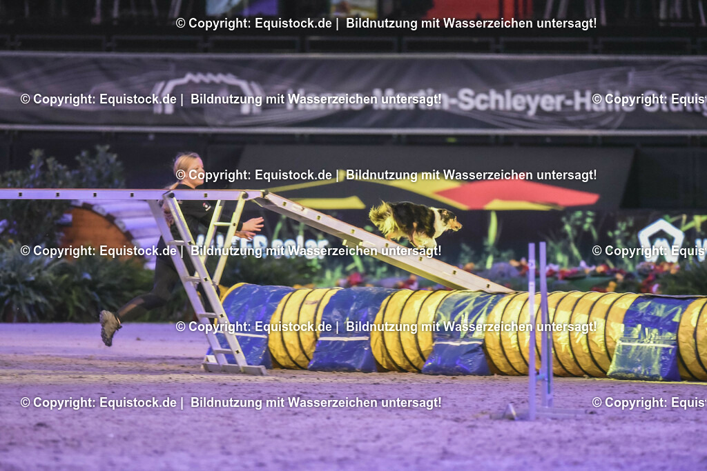 20231115_Dog-Agility_0196_TOMsPiC | Foto: Thomas Hartig