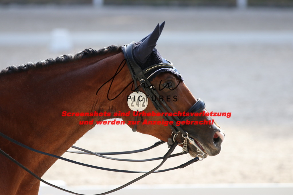 IMG_5708 | lmwpictures - Realisiert mit Pictrs.com