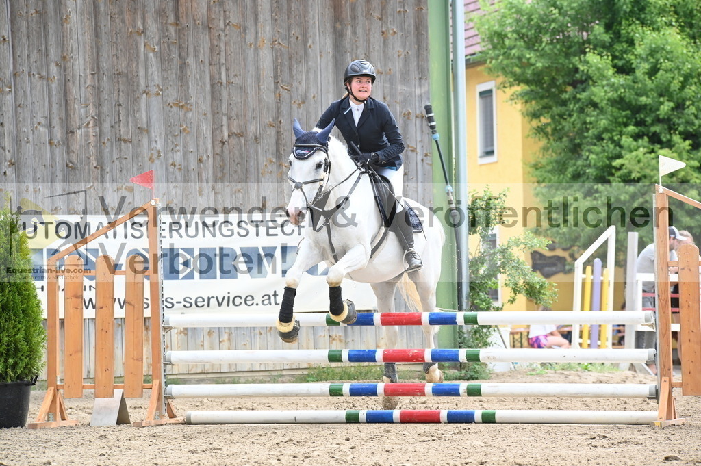 DSC_8203 | equestrian-live-com