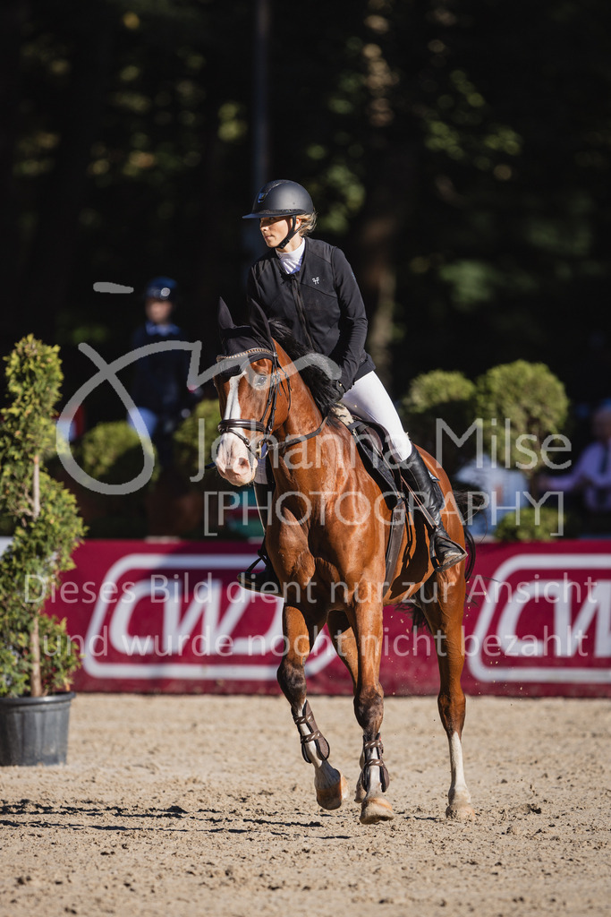 230908_OWLCh_AmateurS-155 | Deine schönsten Turniermomente als professionelle Fotos! Entdecke hochwertige Pferdesport-Fotografie im Online-Shop. Jetzt Fotos finden & bestellen!