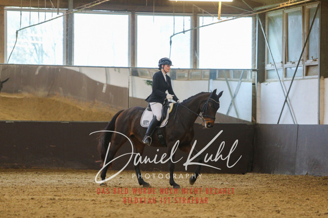 IMG_7818 | Turniersportfotografie; Pferdefotografie; Dressurfotografie