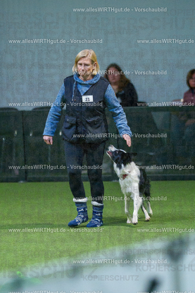 7R501005 | Professionelle Tierfotografie in Mönchengladbach von Daniel Wirth (allesWIRTHgut). Liebevolle & natürliche Bilder von Hunden & Katzen für unvergessliche Erinnerungen.