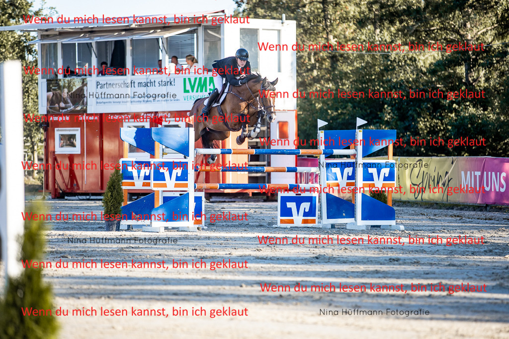 BK1A8443 | Turnierbilder Turnierfotos Nina Hüffmann Turnierfotografie Pferdefotografie Tierzeichnung Haustierzeichnung Pferdezeichnung Hundezeichnung Videograf  - Realisiert mit Pictrs.com
