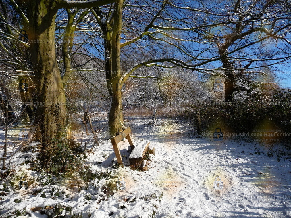 P1000194 | Fotoseite Wolkenblende - Das Hobby fotografieren begleitet mich schon  viele  Jahre. Auf den nächsten Seiten zeige ich ein paar Schnappschüsse der letzten Jahre und es kommen immer neue hinzu. Schau einfach mal rein. - Realisiert mit Pictrs.com