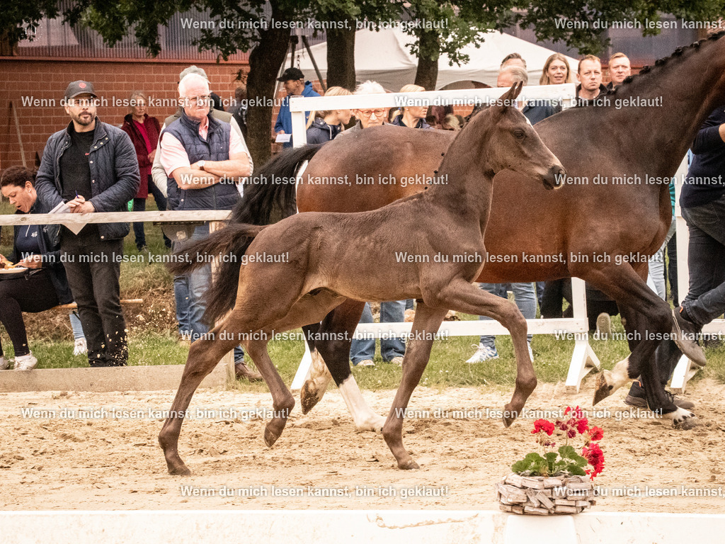 A10I1181 | photographylinaismer - Realisiert mit Pictrs.com