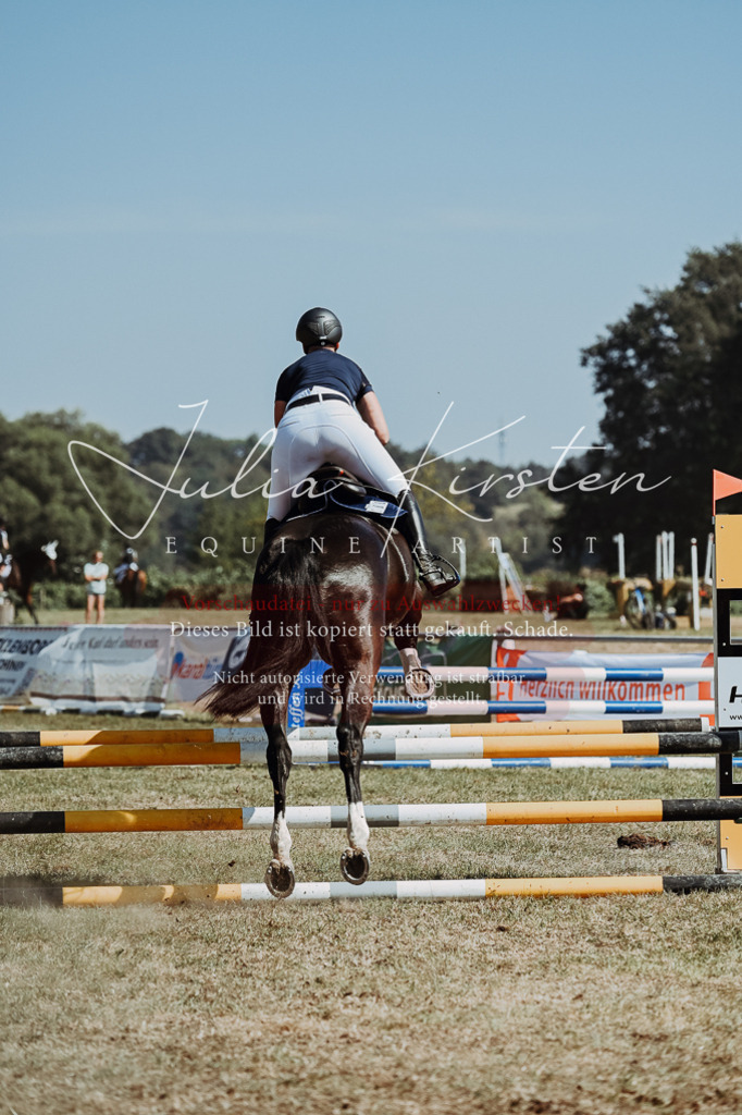 DSC_9875 | Pferde- und Turnierfotografie in Westsachsen. Pferdeportraits, Auftragszeichnungen und intuitive Kunst.