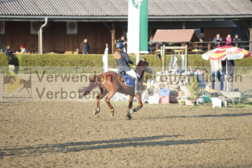 DSC01900 | equestrian-live-com