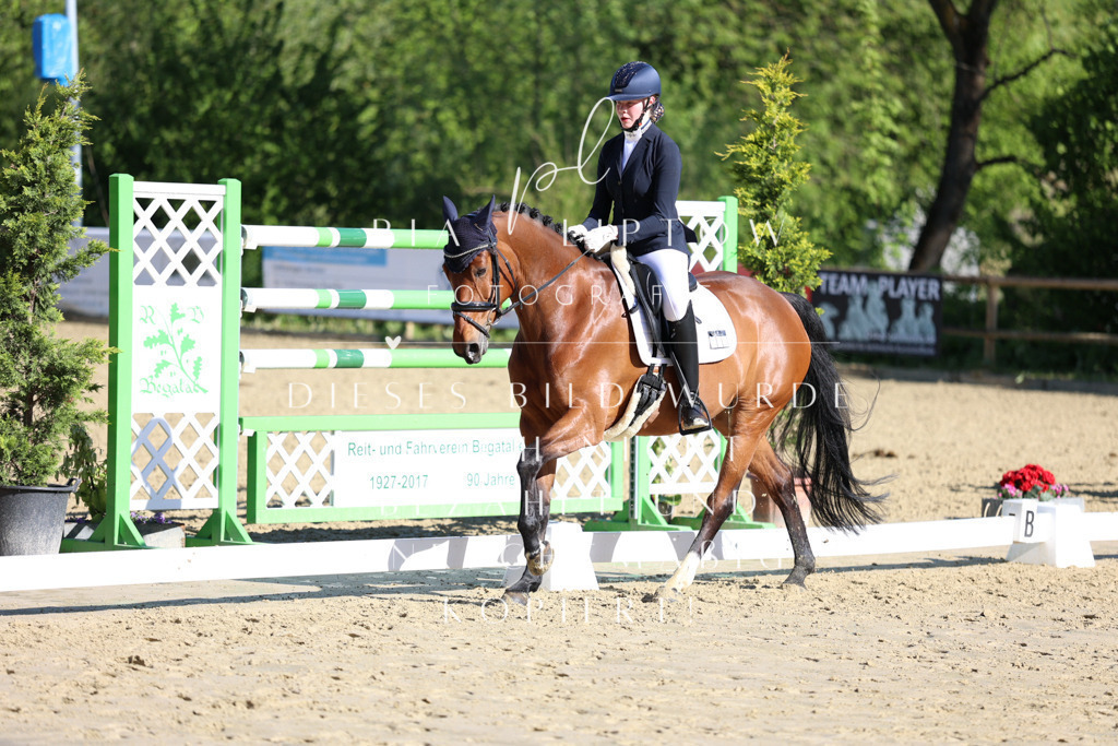 IMGT9626 | pl-fotografie