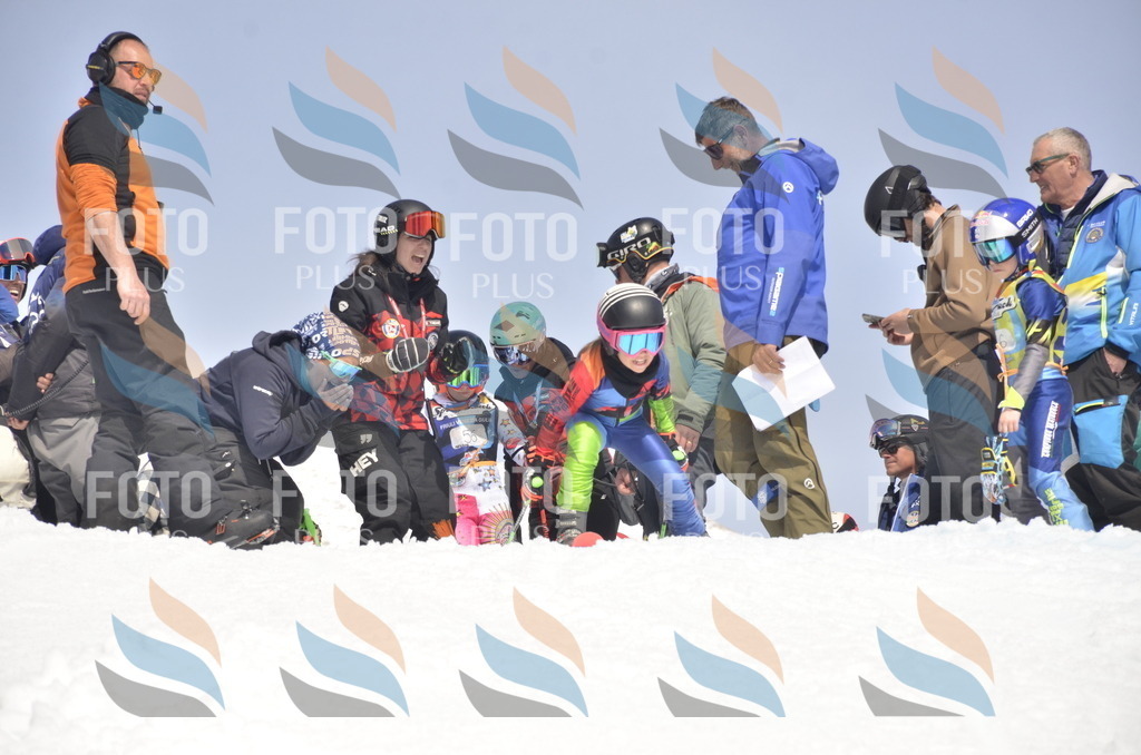 _ELE8853 | holidayphoto