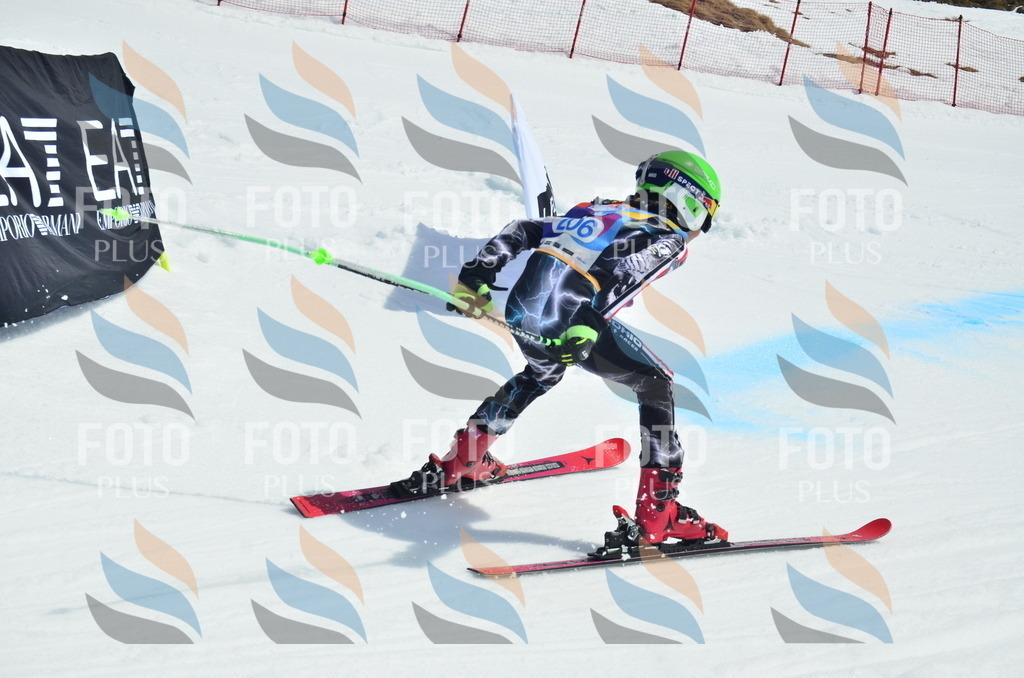 _ELE1414 | holidayphoto