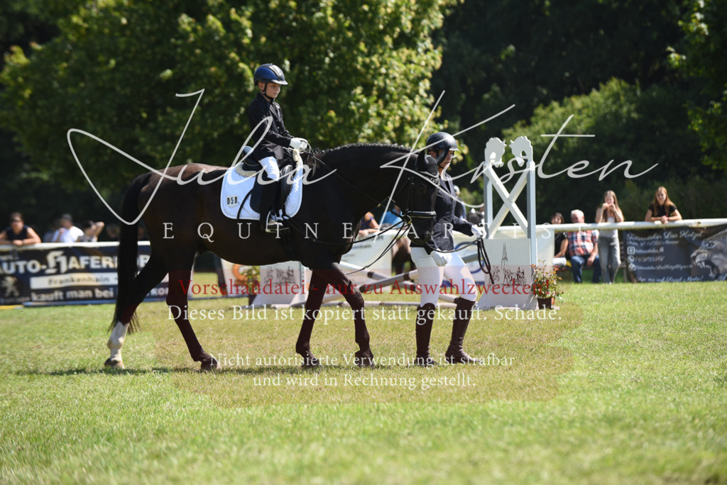 DSC_9805 | Pferde- und Turnierfotografie in Westsachsen. Pferdeportraits, Auftragszeichnungen und intuitive Kunst.