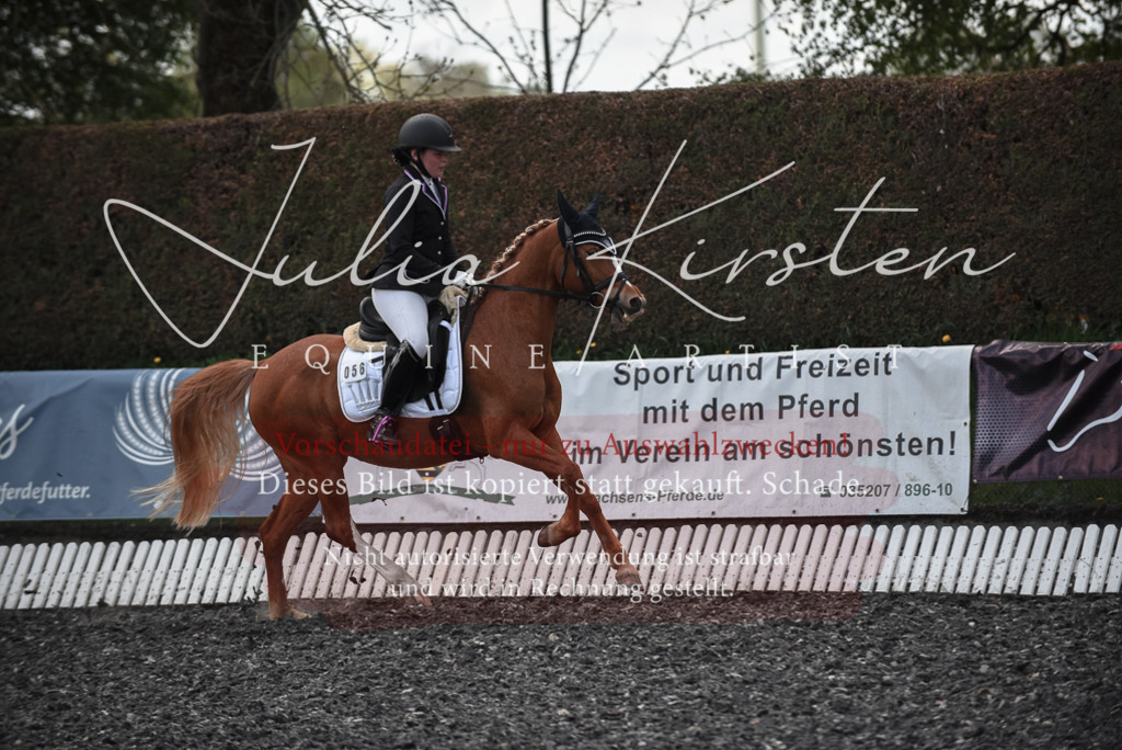20230513_JK-Röhrsdorf-14-590 | Pferde- und Turnierfotografie in Westsachsen. Pferdeportraits, Auftragszeichnungen und intuitive Kunst.
