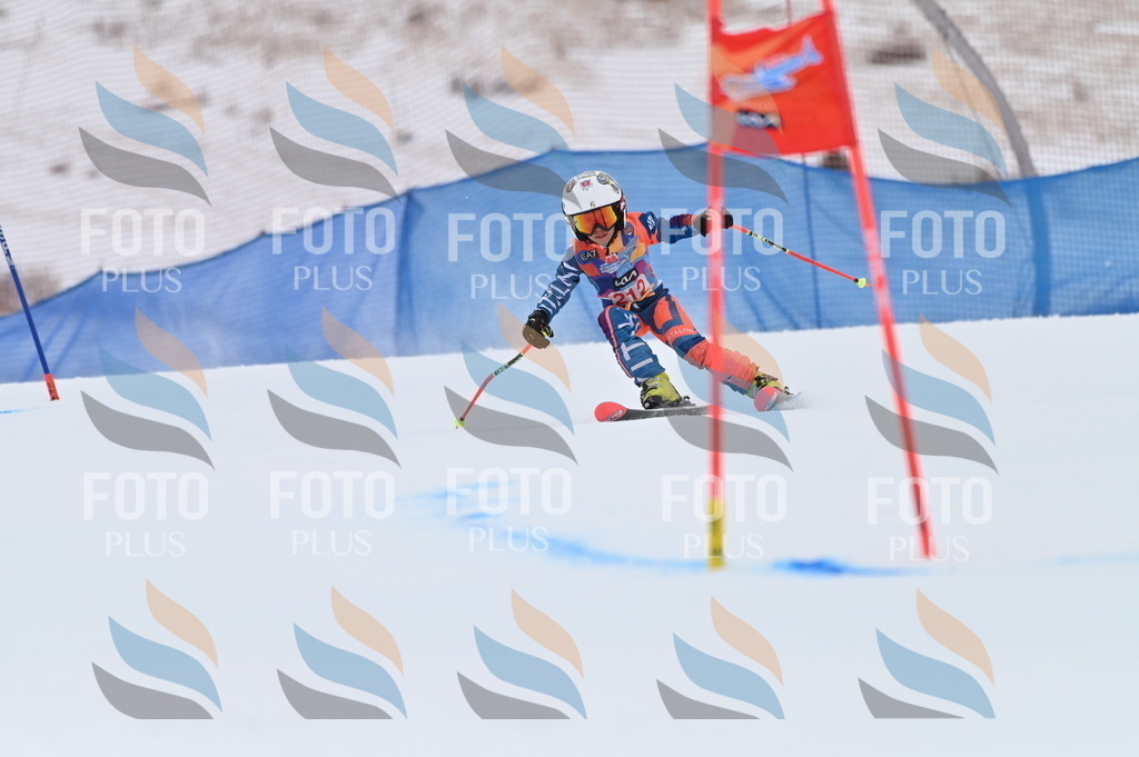 BGV_2523 | holidayphoto