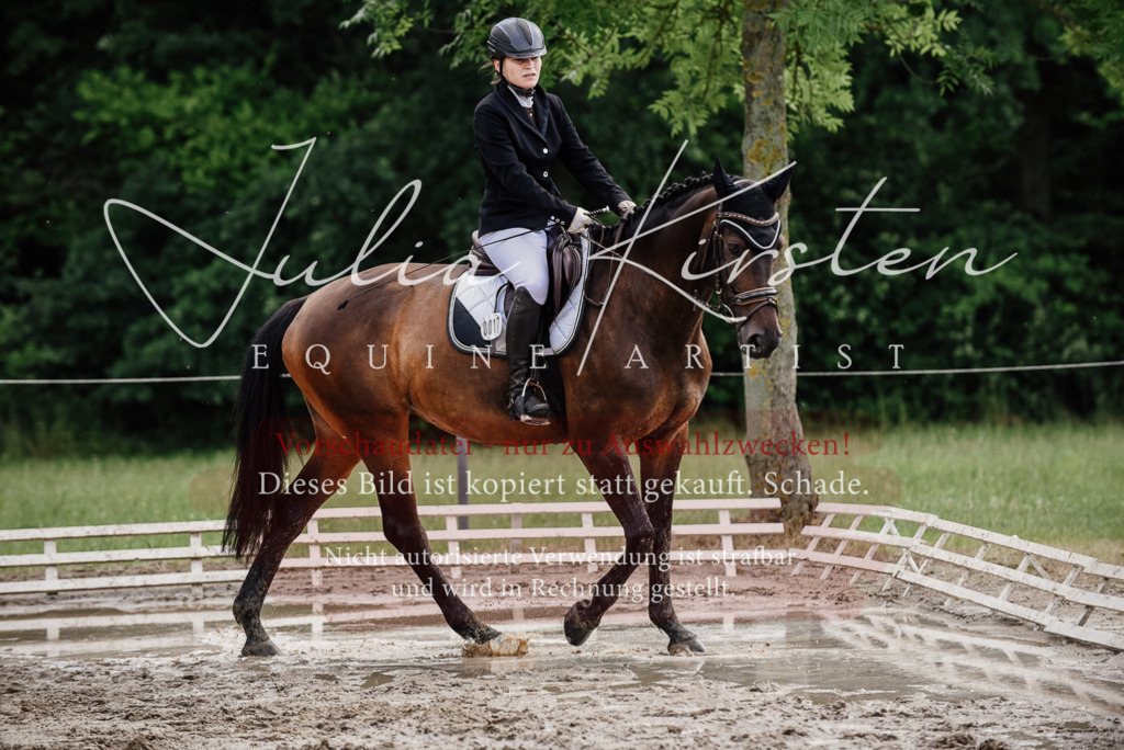 DSC_0761 | Pferde- und Turnierfotografie in Westsachsen. Pferdeportraits, Auftragszeichnungen und intuitive Kunst.