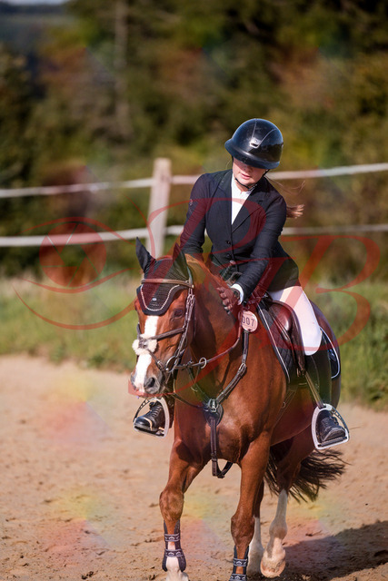 2026_10_03_Siefer-Hof_155832_Z81_78751941 | Professionelle Reitsport-, Turnier- und Eventfotografie von Robert Broda. Galerien mit ausgewählten und bearbeiteten Bildern direkt online ansehen und bestellen.