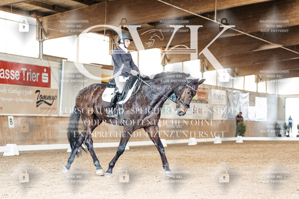 CK901491 | Turnierfotografie Pferdefotografie Trier Rheinland-Pfalz Pferdesport Reitsport Tierfotografie Sportfotografie Pferdevideo Pferdevideografie Equestrianvideography equestrianphotography  - Realisiert mit Pictrs.com