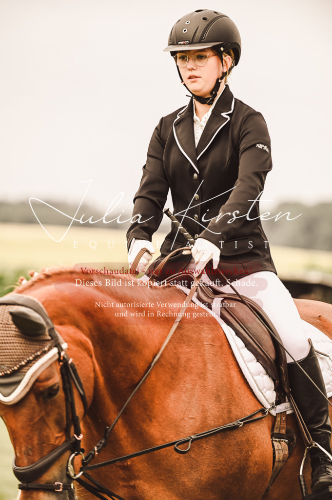 DSC_4852 | Pferde- und Turnierfotografie in Westsachsen. Pferdeportraits, Auftragszeichnungen und intuitive Kunst.