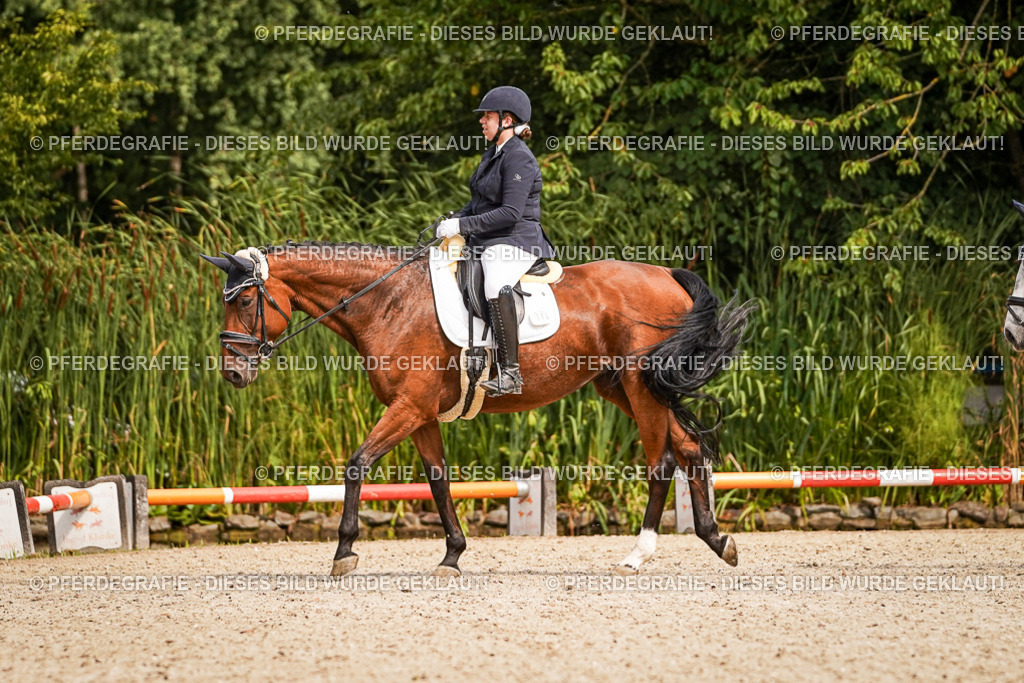 DSC01358 | Pferdegrafie