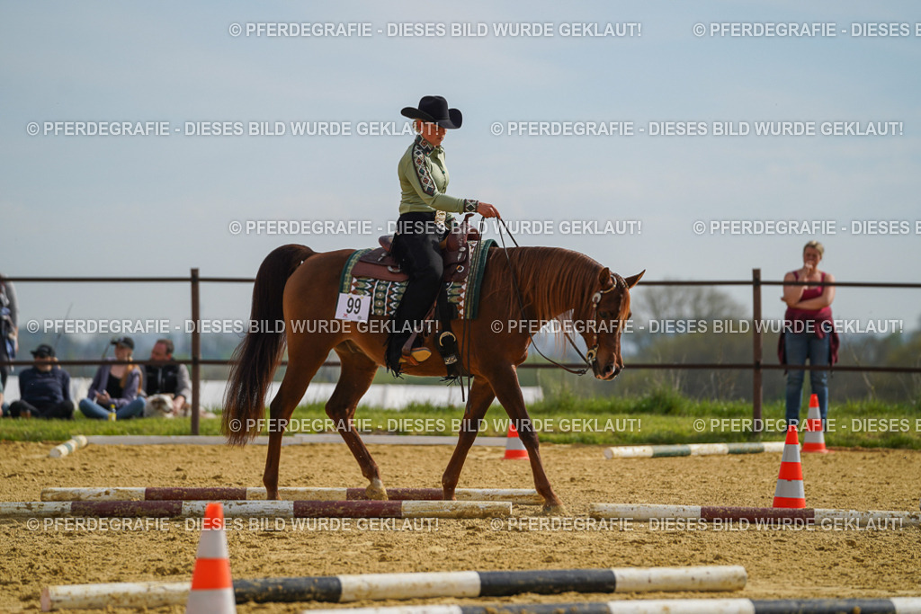 DSC01851 | Pferdegrafie