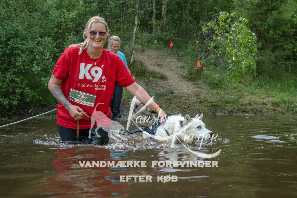 1749DKK992817 | kk-dogfotos