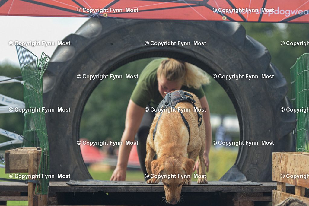 DSC_0740 | Hallo und herzlich Willkommen auf meiner Shop-Seite Fynn Most.

Ich wünsche Dir viel Spaß beim stöbern durch die Bilder, wenn Du Fragen hast oder Bilder vermisst, kannst du mir gerne eine Nachricht schreiben. - Realisiert mit Pictrs.com