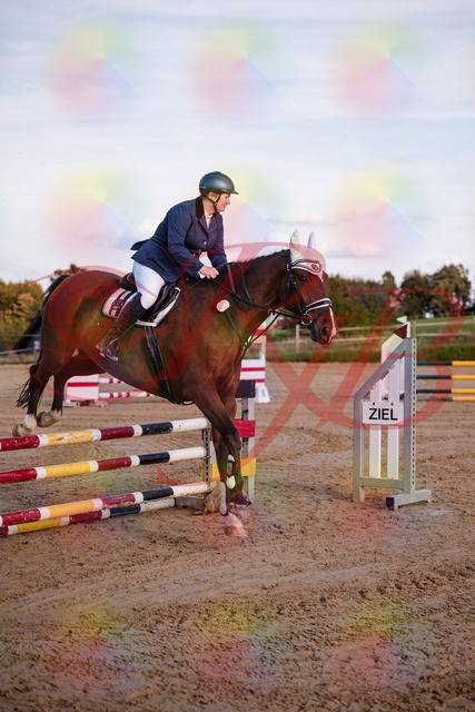 2026_10_03_Siefer-Hof_170340_Z81_00427181 | Professionelle Reitsport-, Turnier- und Eventfotografie von Robert Broda. Galerien mit ausgewählten und bearbeiteten Bildern direkt online ansehen und bestellen.
