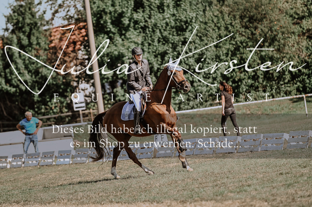 DSC_9275 | Pferde- und Turnierfotografie in Westsachsen. Pferdeportraits, Auftragszeichnungen und intuitive Kunst.