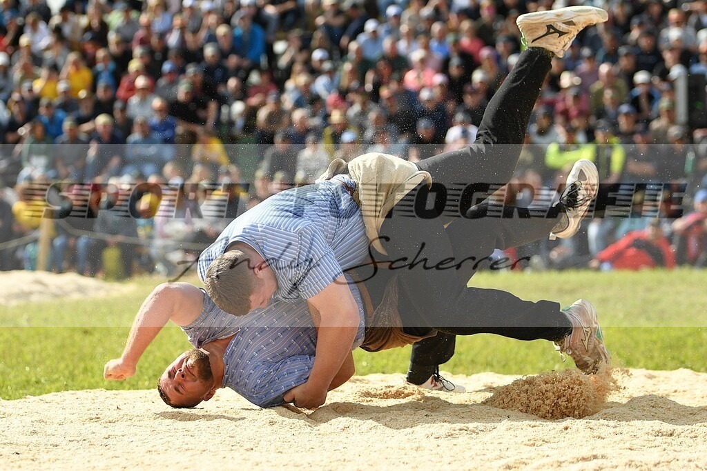 mDSC_7543 | Kaufen Sie Sportbilder im Onlineshop von Andy Scherrer Sportfotografie. Faszinierende Bilder von Sportevents aus der ganzen Schweiz. Fussball, Frauenfussball, Unihockey, Handball, Schwingen und weiteren Sportarten. - Realisiert mit Pictrs.com