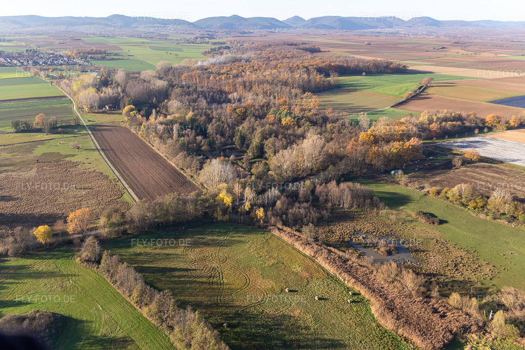Luftbild: Billigheimer Bruch, Erlenbachtal zwischen Barbelroth, Hergersweiler und Winden im Ortsteil Mühlhofen in Billigheim-Ingenheim im Bundesland Rheinland-Pfalz in Deutschland. Foto: IMG_123907.jpg vom 21.11.2020 durch Werner Riehm/FLY-FOTO.de