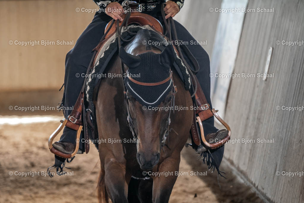 SBS03054 | BS-foto