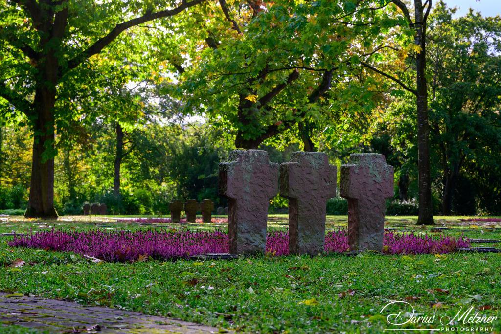 Der alte Hauptfriedhof in Mainz | Der alte Hauptfriedhof in Mainz
