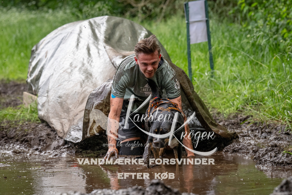 1514_ZZ92375-Bearbeitet | kk-dogfotos