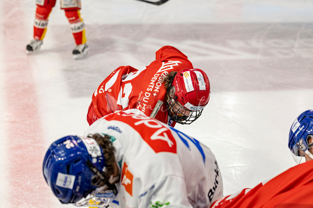 EHCB vs GCK _1-910412288 | Sportbilder, Sportfotograf, Hochzeits- und Eventfotografin, Flugshows, Portraits und Tiershooting, Aviation, Downhill, Nationalleague, Swissleague, International