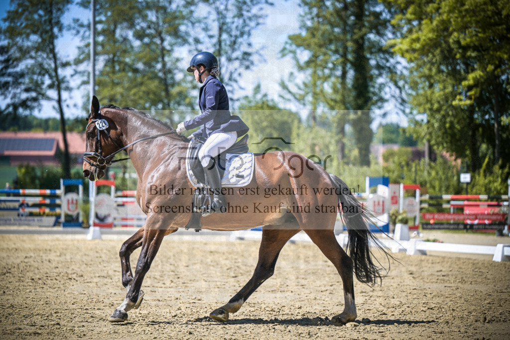 DOS_9228 | Entdecke hochwertige Reitturnierfotos von Foto Oger. Professionell, emotional und authentisch – jetzt Lieblingsmomente im Shop bestellen.Deutschlandweite Turnierfotografie. - Realisiert mit Pictrs.com