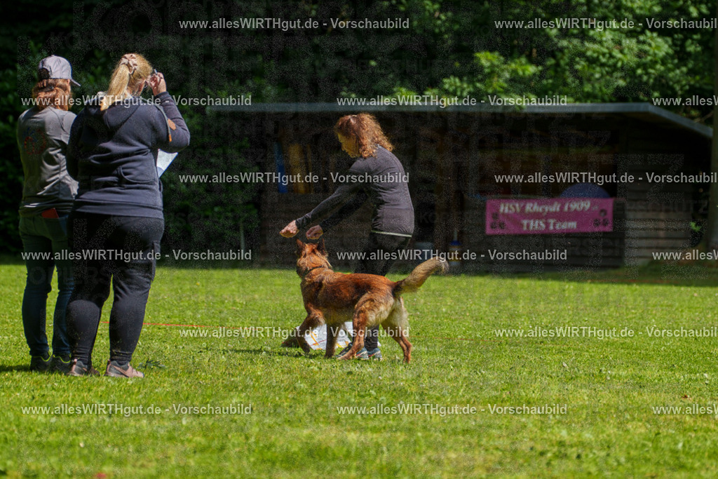 @allesWIRTHgut_Tierfotografie - www.allesWIRTHgut.de - 7R503699 | Professionelle Tierfotografie in Mönchengladbach von Daniel Wirth (allesWIRTHgut). Liebevolle & natürliche Bilder von Hunden & Katzen für unvergessliche Erinnerungen.