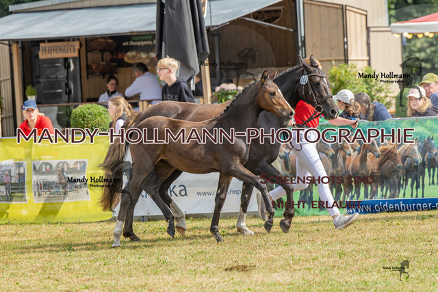 26-8-21 New Forest-9 | mandyhollmannphotographie