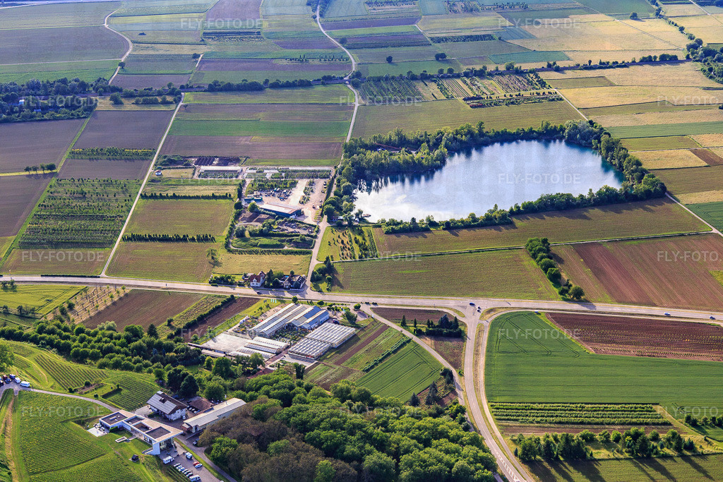 Apostelsee des Angelverein Ettenheim e.V. https://av-ettenheim.de/ | Luftbild: Apostelsee des Angelverein Ettenheim e.V. https://av-ettenheim.de/ in Ettenheim im Bundesland Baden-Württemberg in Deutschland. Foto: IMG_147232.jpg vom 29.05.2025 durch ©2025 Werner Riehm fly-foto.de/copyright - Realisiert mit Pictrs.com